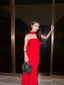 SOPHIA RED TUBE MAXI DRESS